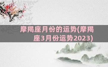 摩羯座月份的运势(摩羯座3月份运势2023)