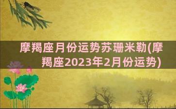 摩羯座月份运势苏珊米勒(摩羯座2023年2月份运势)