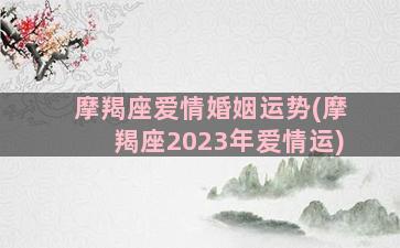 摩羯座爱情婚姻运势(摩羯座2023年爱情运)