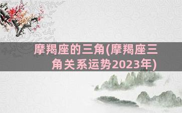 摩羯座的三角(摩羯座三角关系运势2023年)