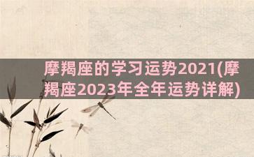 摩羯座的学习运势2021(摩羯座2023年全年运势详解)