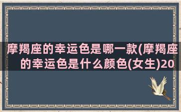 摩羯座的幸运色是哪一款(摩羯座的幸运色是什么颜色(女生)2023)