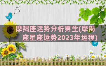 摩羯座运势分析男生(摩羯座星座运势2023年运程)