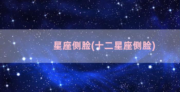 星座侧脸(十二星座侧脸)