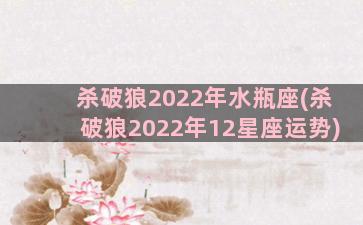 杀破狼2022年水瓶座(杀破狼2022年12星座运势)