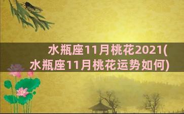 水瓶座11月桃花2021(水瓶座11月桃花运势如何)