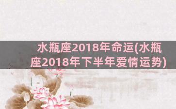 水瓶座2018年命运(水瓶座2018年下半年爱情运势)