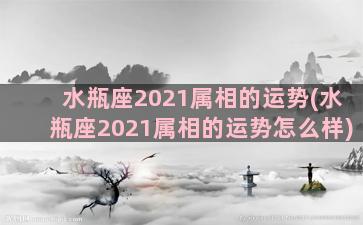 水瓶座2021属相的运势(水瓶座2021属相的运势怎么样)