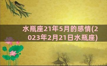 水瓶座21年5月的感情(2023年2月21日水瓶座)