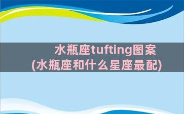 水瓶座tufting图案(水瓶座和什么星座最配)