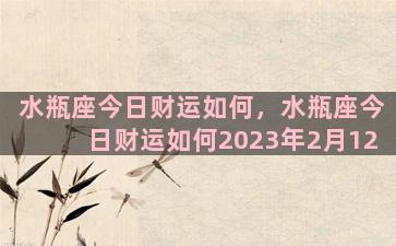 水瓶座今日财运如何，水瓶座今日财运如何2023年2月12