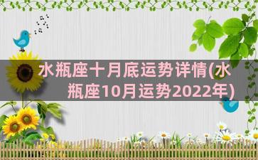 水瓶座十月底运势详情(水瓶座10月运势2022年)