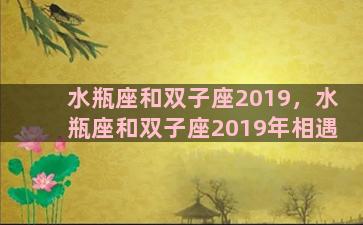 水瓶座和双子座2019，水瓶座和双子座2019年相遇