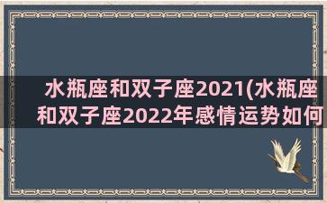 水瓶座和双子座2021(水瓶座和双子座2022年感情运势如何)