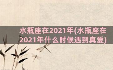 水瓶座在2021年(水瓶座在2021年什么时候遇到真爱)