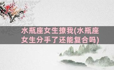 水瓶座女生撩我(水瓶座女生分手了还能复合吗)