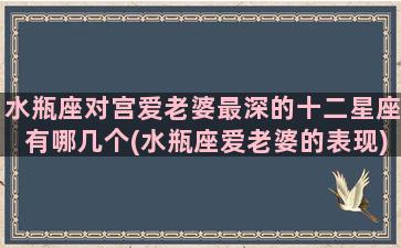 水瓶座对宫爱老婆最深的十二星座有哪几个(水瓶座爱老婆的表现)