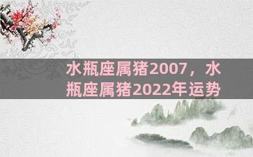 水瓶座属猪2007，水瓶座属猪2022年运势