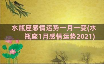 水瓶座感情运势一月一变(水瓶座1月感情运势2021)