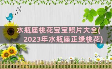 水瓶座桃花宝宝照片大全(2023年水瓶座正缘桃花)