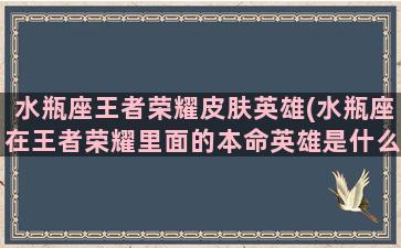 水瓶座王者荣耀皮肤英雄(水瓶座在王者荣耀里面的本命英雄是什么)