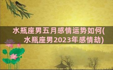 水瓶座男五月感情运势如何(水瓶座男2023年感情劫)