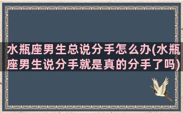 水瓶座男生总说分手怎么办(水瓶座男生说分手就是真的分手了吗)