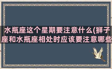 水瓶座这个星期要注意什么(狮子座和水瓶座相处时应该要注意哪些东西)