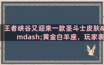 王者峡谷又迎来一款圣斗士皮肤—黄金白羊座，玩家表示张良真的是人生赢家，如何评价