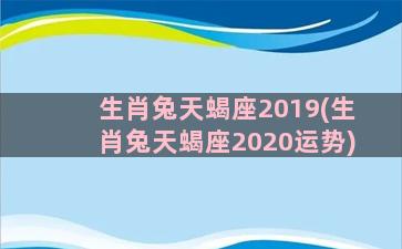 生肖兔天蝎座2019(生肖兔天蝎座2020运势)