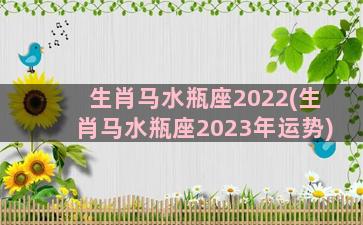 生肖马水瓶座2022(生肖马水瓶座2023年运势)