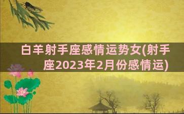 白羊射手座感情运势女(射手座2023年2月份感情运)