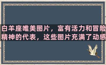 白羊座唯美图片，富有活力和冒险精神的代表，这些图片充满了动感和激情。这样的图片激励我们要勇敢地追求自己的梦想，敢于挑战自己和风险。在这篇文章中，我们将进一步探讨