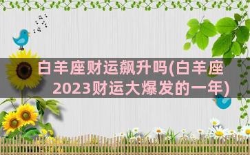 白羊座财运飙升吗(白羊座2023财运大爆发的一年)