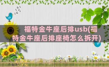 福特金牛座后排usb(福特金牛座后排座椅怎么拆开)