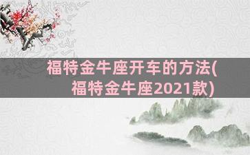 福特金牛座开车的方法(福特金牛座2021款)