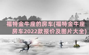 福特金牛座的房车(福特金牛座房车2022款报价及图片大全)