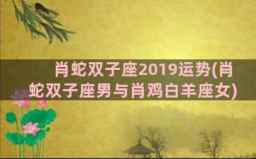 肖蛇双子座2019运势(肖蛇双子座男与肖鸡白羊座女)