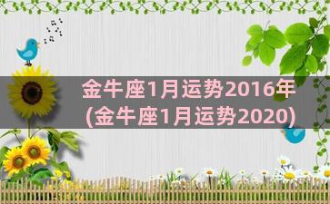 金牛座1月运势2016年(金牛座1月运势2020)