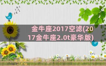 金牛座2017空滤(2017金牛座2.0t豪华版)