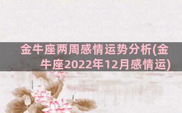 金牛座两周感情运势分析(金牛座2022年12月感情运)