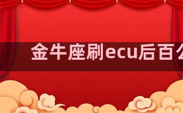 金牛座刷ecu后百公里