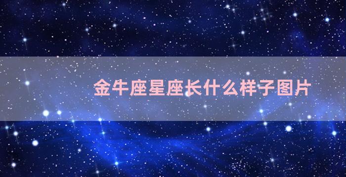 金牛座星座长什么样子图片