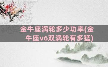 金牛座涡轮多少功率(金牛座v6双涡轮有多猛)