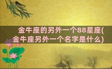 金牛座的另外一个88星座(金牛座另外一个名字是什么)