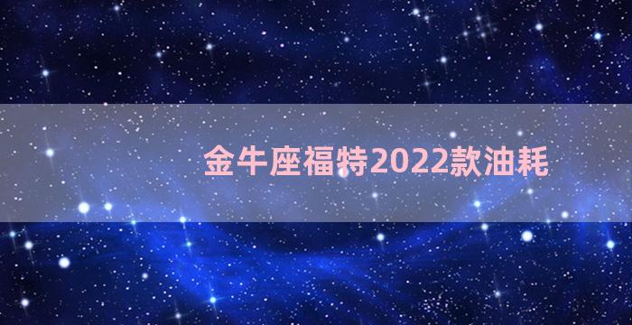 金牛座福特2022款油耗