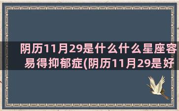 阴历11月29是什么什么星座容易得抑郁症(阴历11月29是好日子吗)